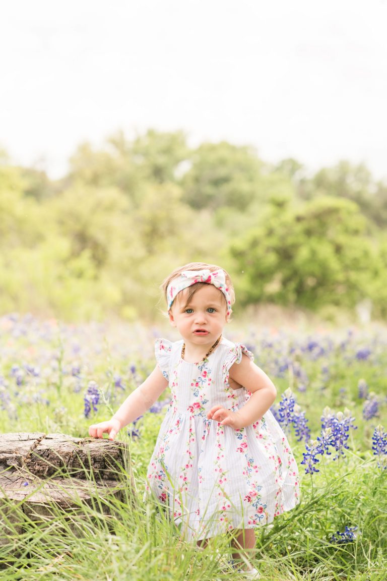 Baby-bluebonnets-texas-hill-country