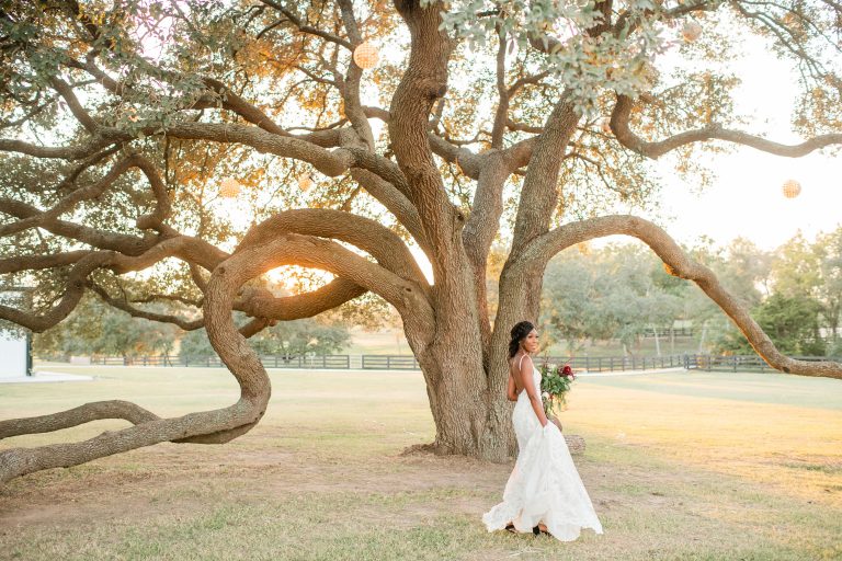 the-oaks-at-high-hill-oak-tree-wedding-photography